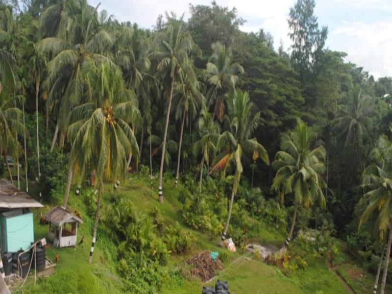Andaman Galley Boutique Hotel Port Blair Exterior photo